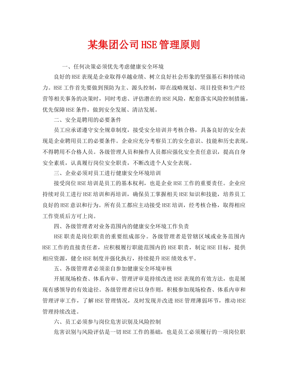 《管理体系》之某集团公司HSE管理原则 _第1页