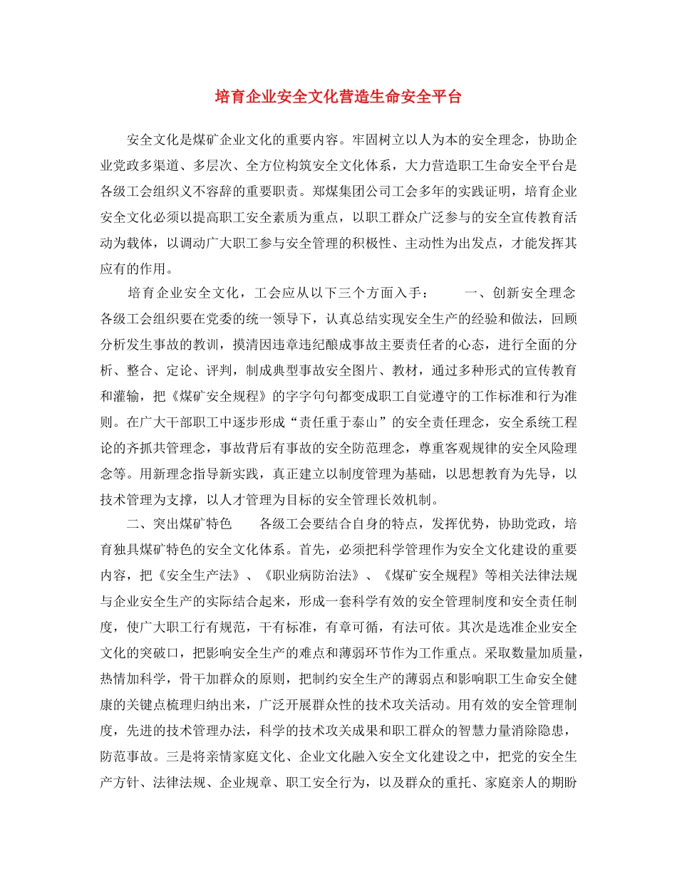 《安全文化》之培育企业安全文化 营造生命安全平台 _第1页
