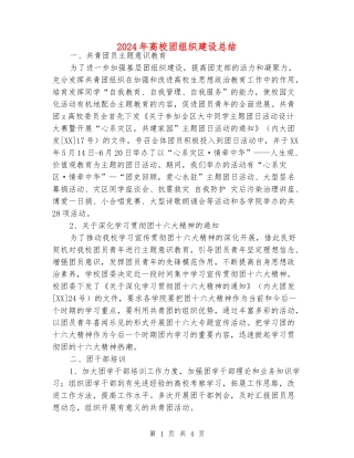2024年大学团组织建设总结