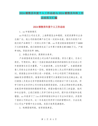 2024销售员年度个人工作总结与2024销售员年终工作总结范文汇编