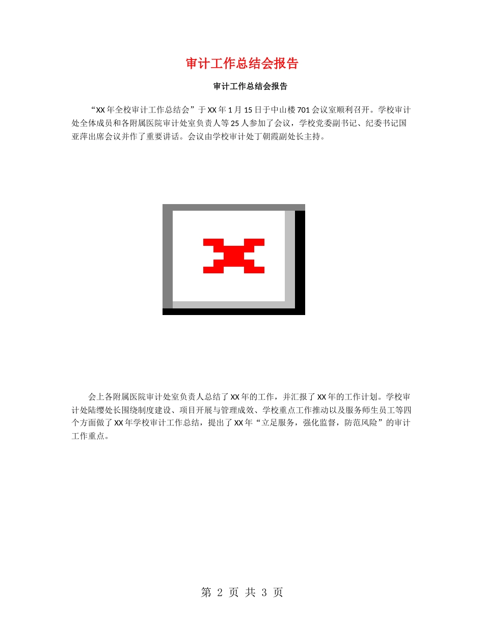 审计工作总结会报告_第2页