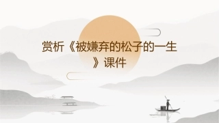 赏析《被嫌弃的松子的一生》课件
