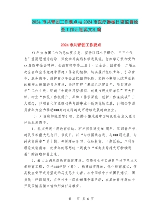 2024市共青团工作要点与2024市医疗器械日常监督检查工作计划范文汇编
