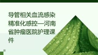 导管相关血流感染精准化感控—河南省肿瘤医院护理课件