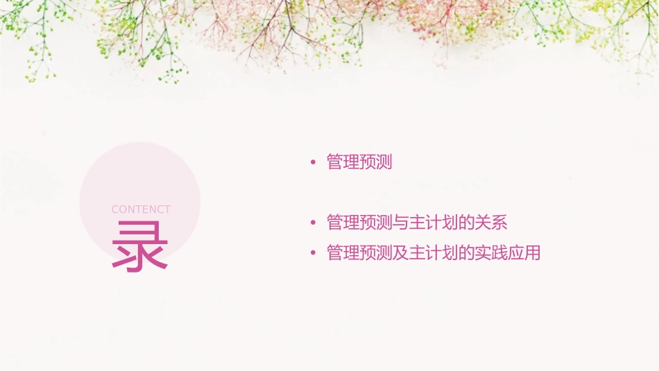 管理预测及管理主计划课件_第2页