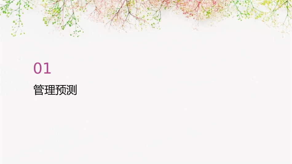 管理预测及管理主计划课件_第3页