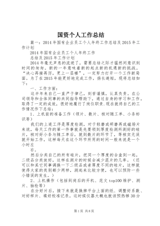 国资个人工作总结