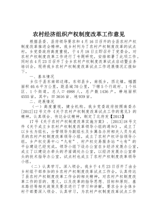 农村经济组织产权规章制度细则改革工作意见
