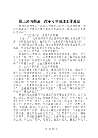 国土局两整治一改革专项治理工作总结