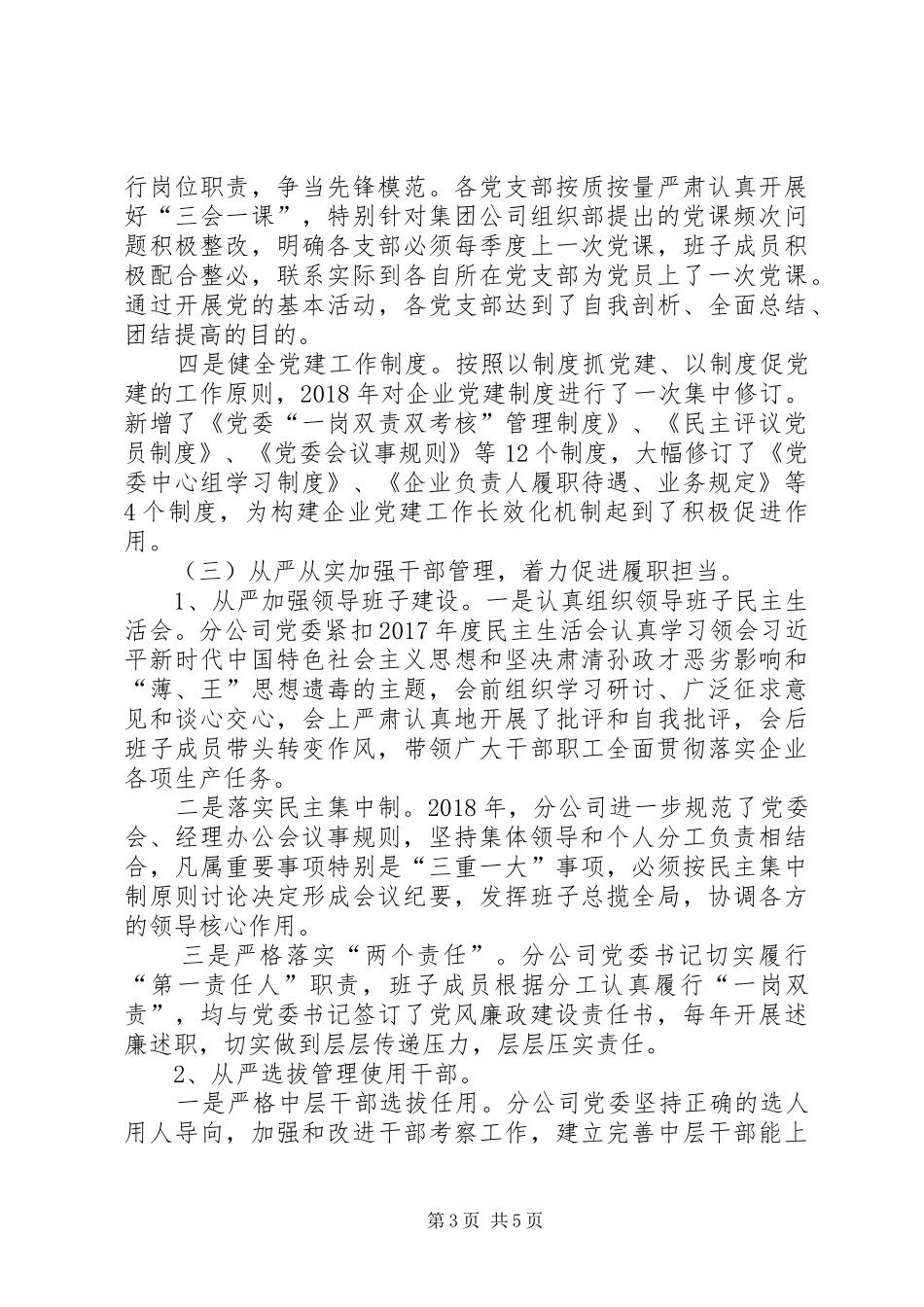 分公司党委XX年党建工作总结_第3页