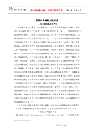 我国社会福利文献综述