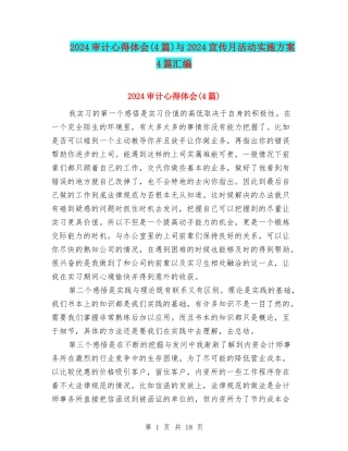 2024审计心得体会与2024宣传月活动实施方案4篇汇编