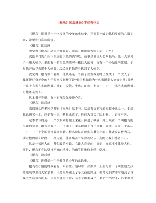 《根鸟》读后感200字优秀作文 