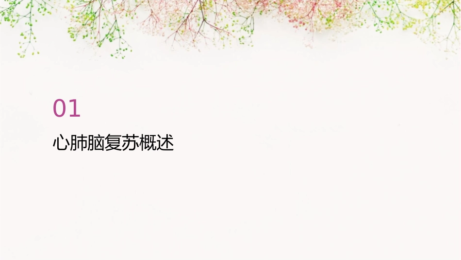 柴洁心肺脑复苏新进展课件_第3页