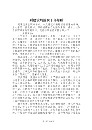 到建设局挂职干部总结