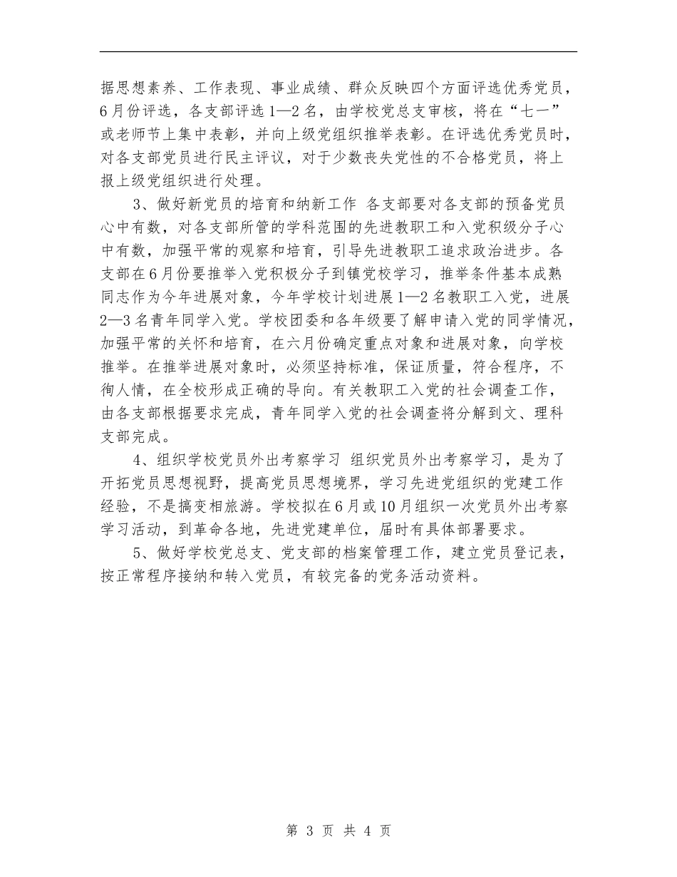 2024年党务工作计划1_第3页