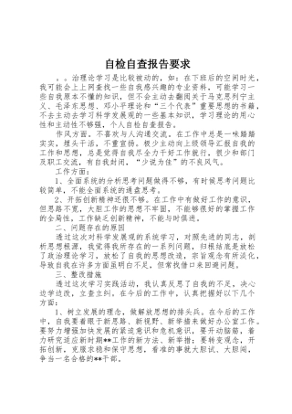 自检自查报告要求