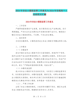 2024年非法小煤窑监管工作意见与2024年非税局个人总结范文汇编