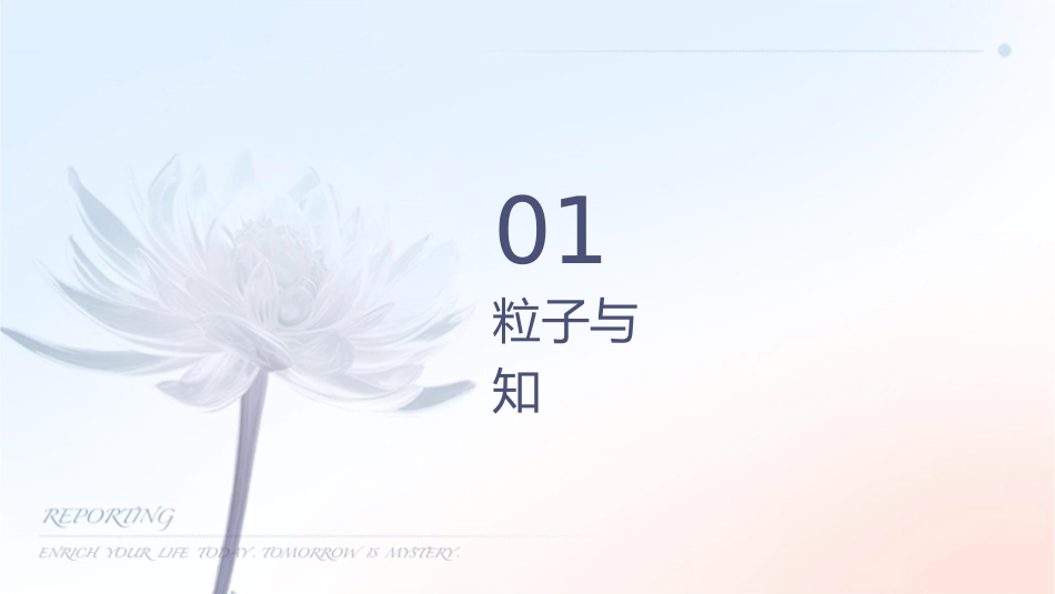 带电粒子在电场中的运动轨迹专题课件_第3页