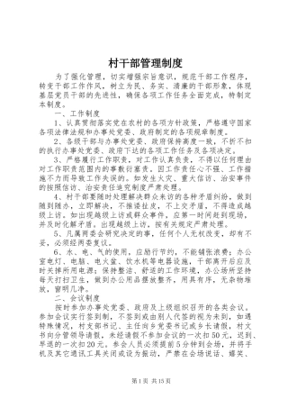 村干部管理规章制度  (2)