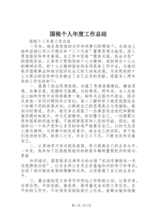 国税个人年度工作总结
