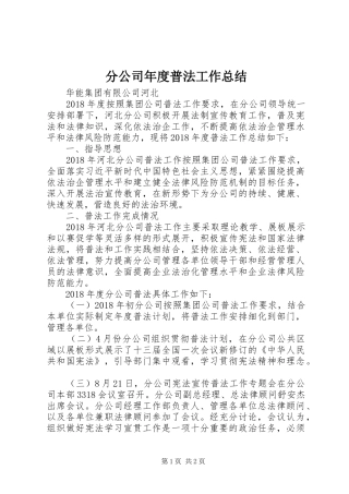 分公司年度普法工作总结