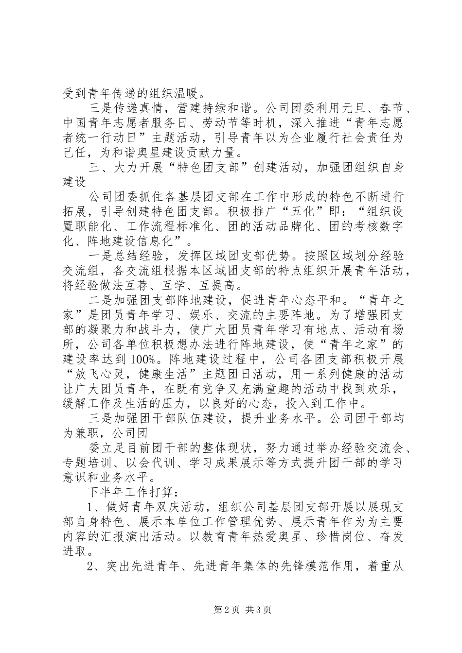 共青团工作总结_第2页