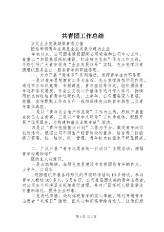 共青团工作总结