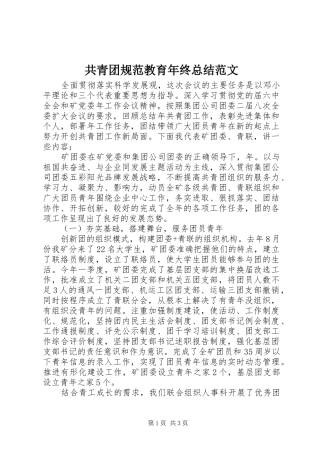 共青团规范教育年终总结范文