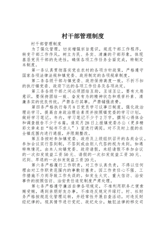 村干部管理规章制度