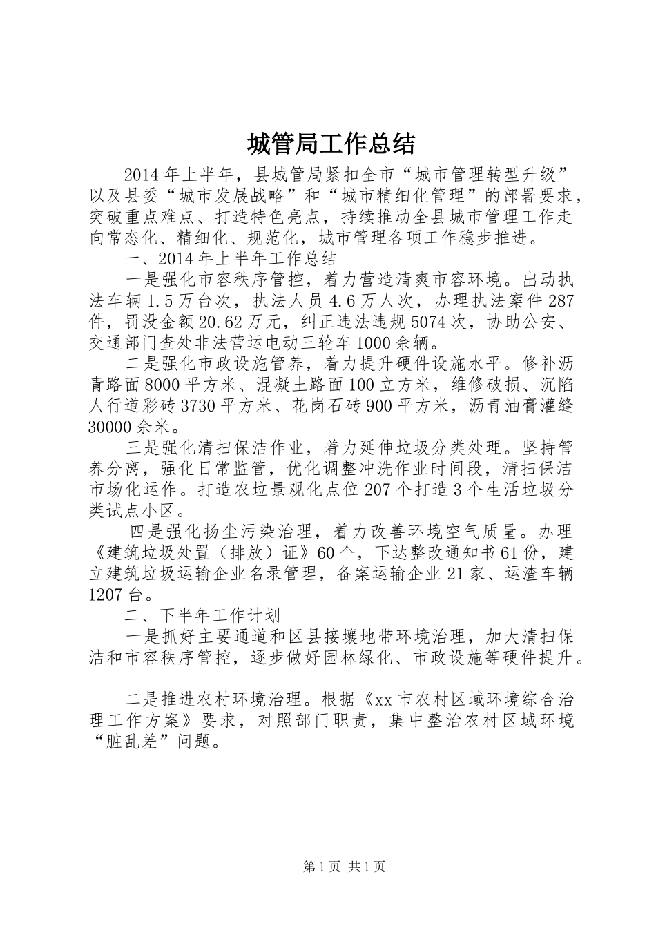 城管局工作总结_第1页