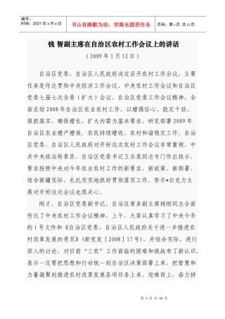智副主席在自治区农村工作会议上的讲话