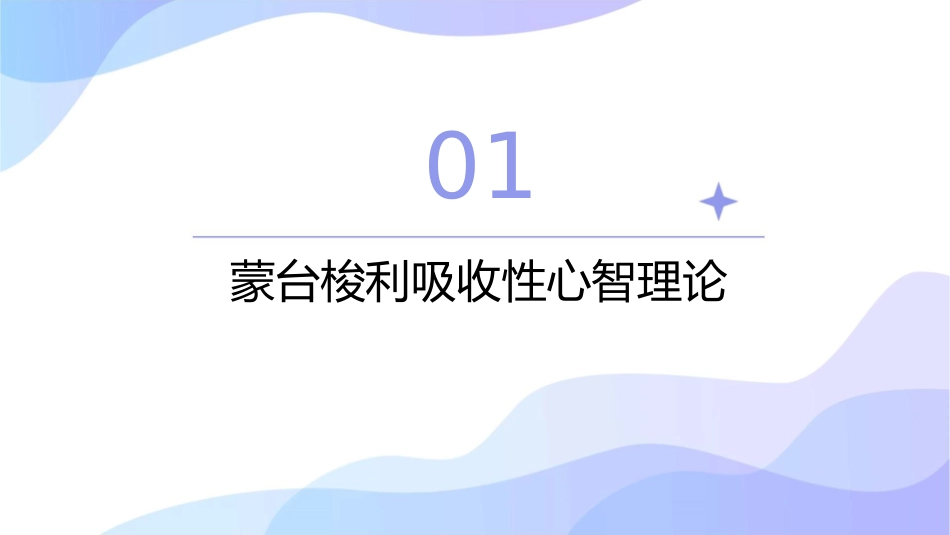 蒙氏吸收性心智和皮亚杰理论分析比较课件_第3页