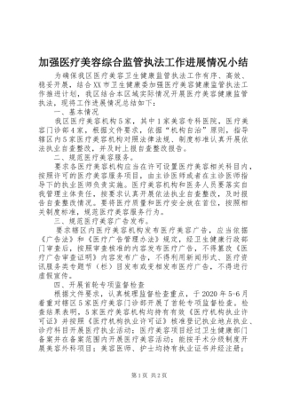 加强医疗美容综合监管执法工作进展情况小结