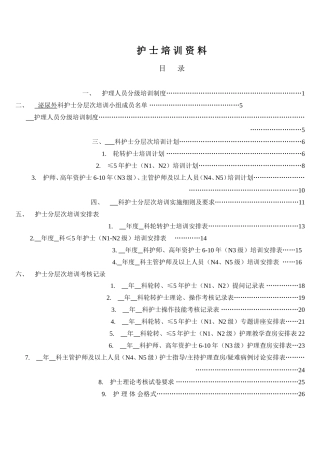 护士分层次培训范本模板