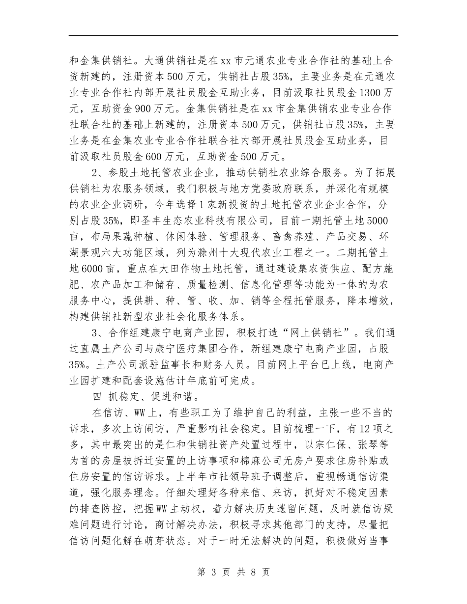 2024年供销作上半年工作总结和下半年工作计划_第3页