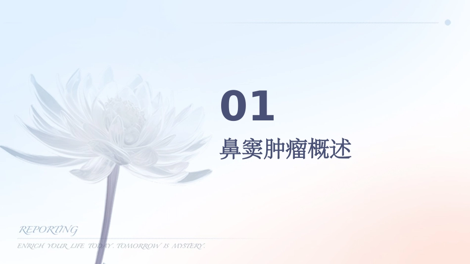 鼻窦肿瘤护理课件_第3页