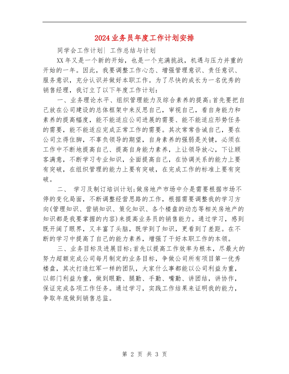 2024业务员年度工作计划安排_第2页