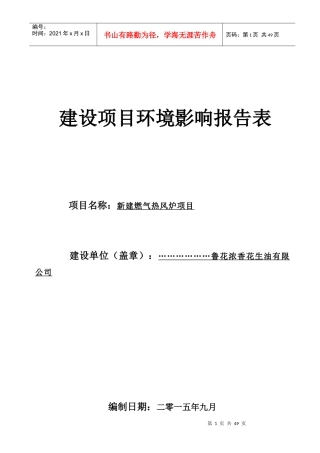 鲁花热风炉环境影响评价报告表