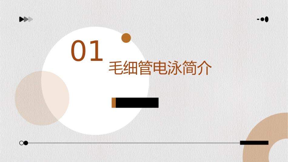 毛细管电泳激光诱导荧光分离检测脑汇编护理课件_第3页