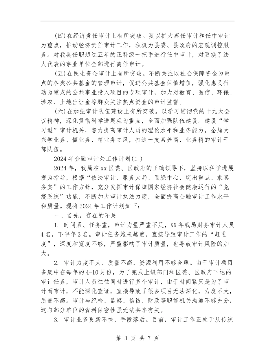 2024年金融审计处工作计划_第3页