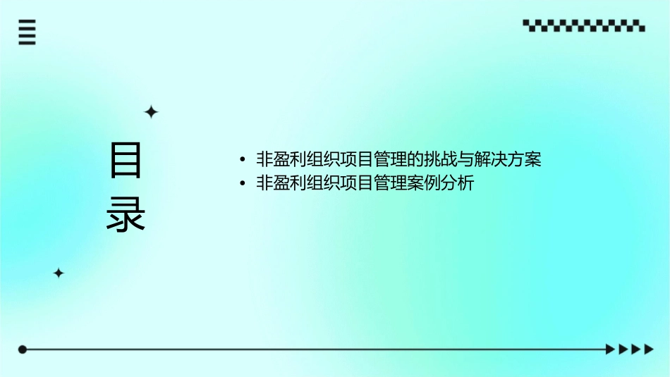 非盈利组织项目管理分析课件_第2页