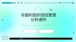 非盈利组织项目管理分析课件