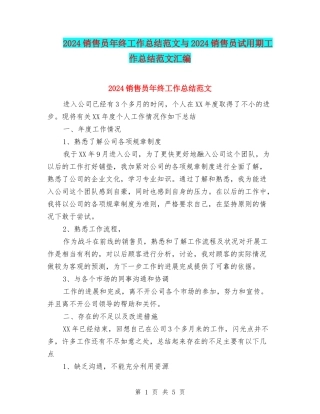 2024销售员年终工作总结范文与2024销售员试用期工作总结范文汇编