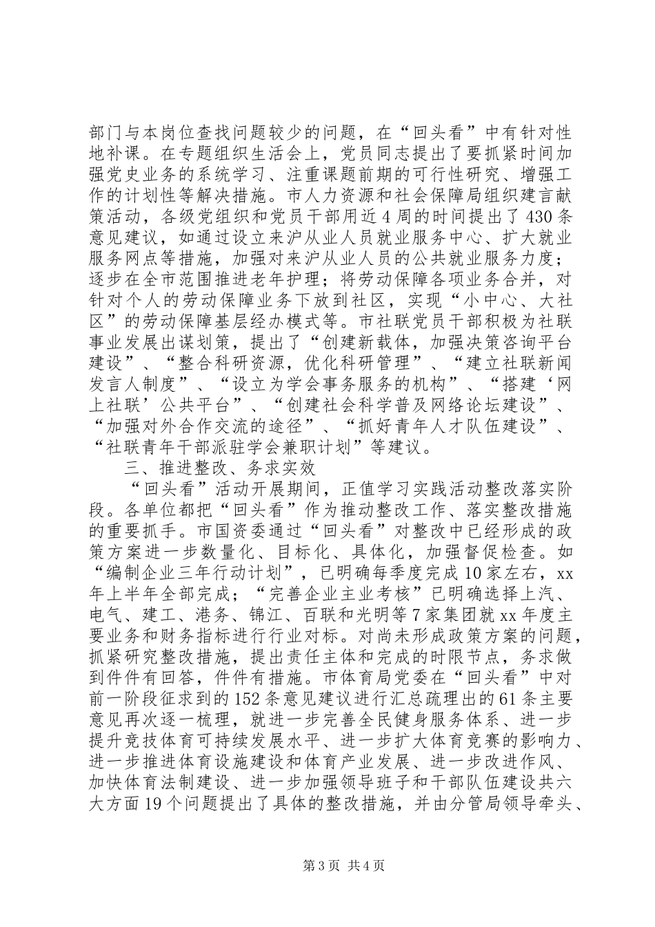 回头看促整改总结_第3页