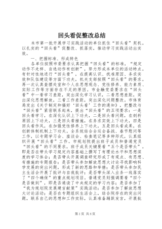 回头看促整改总结