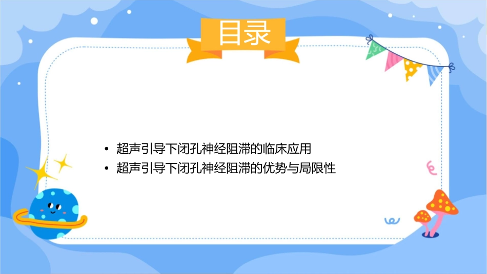 超声引导下闭孔神经阻滞临床应用进展护理课件_第2页