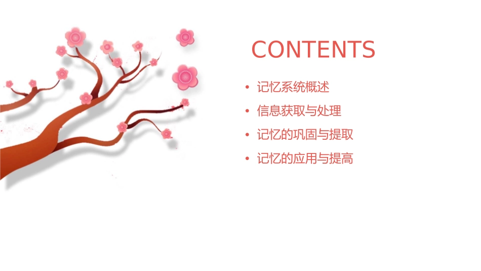 记忆与信息获取课件_第2页