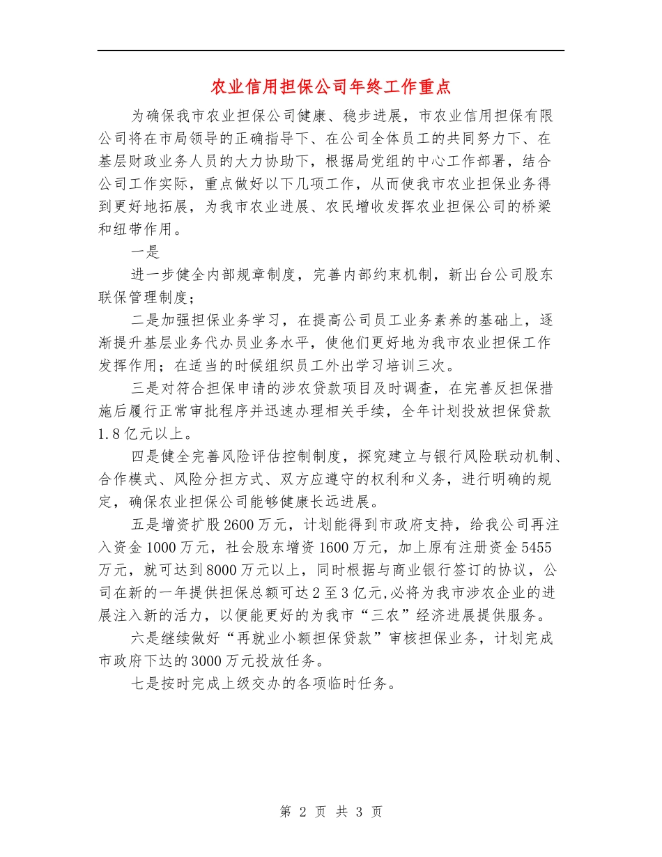 农业信用担保公司年终工作重点_第2页