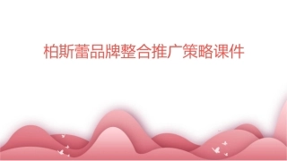 柏斯蕾品牌整合推广策略课件